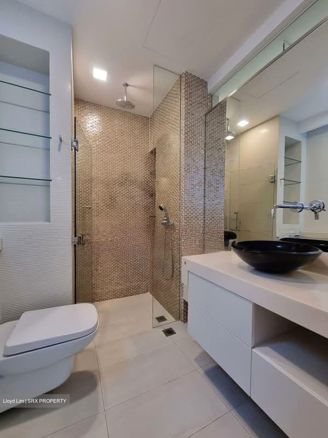 Leonie Gardens (D9), Condominium #580498261